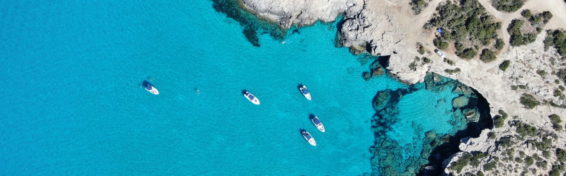 datingscout-3SdITUfm85M-unsplash